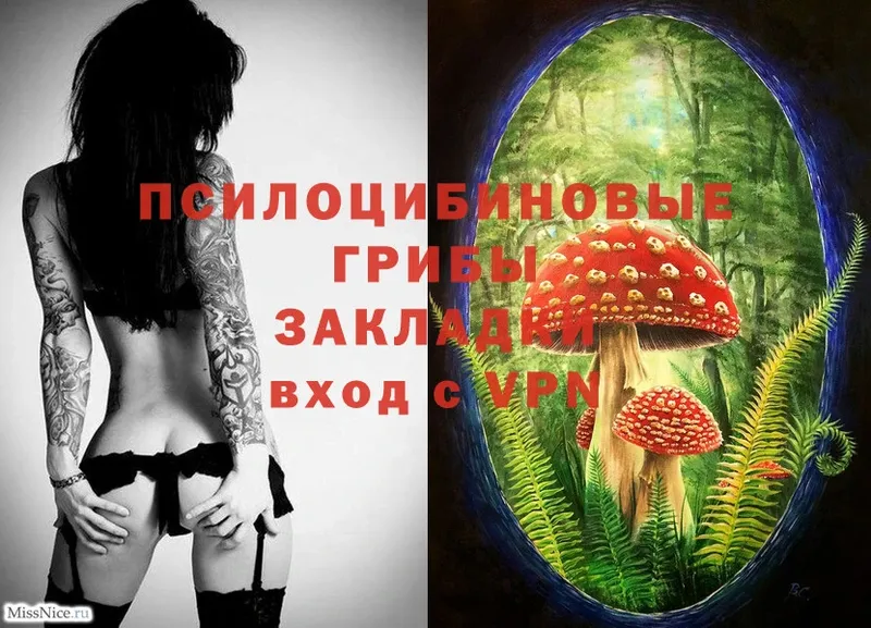 где купить наркотик  Верхняя Пышма  shop телеграм  Галлюциногенные грибы Magic Shrooms 